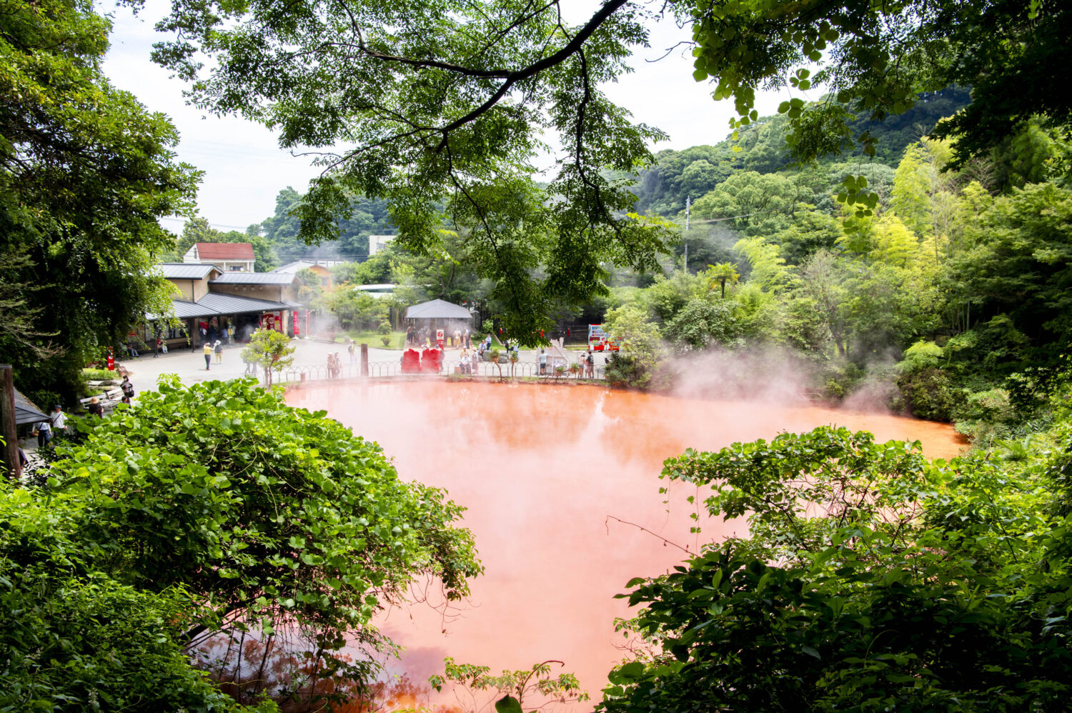 行きたかった九州のあの地へ楽々と 飛鳥Ⅱでつくる夏の思い出